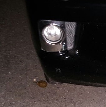 Grenade found near Kaieteur News publisher’s vehicle