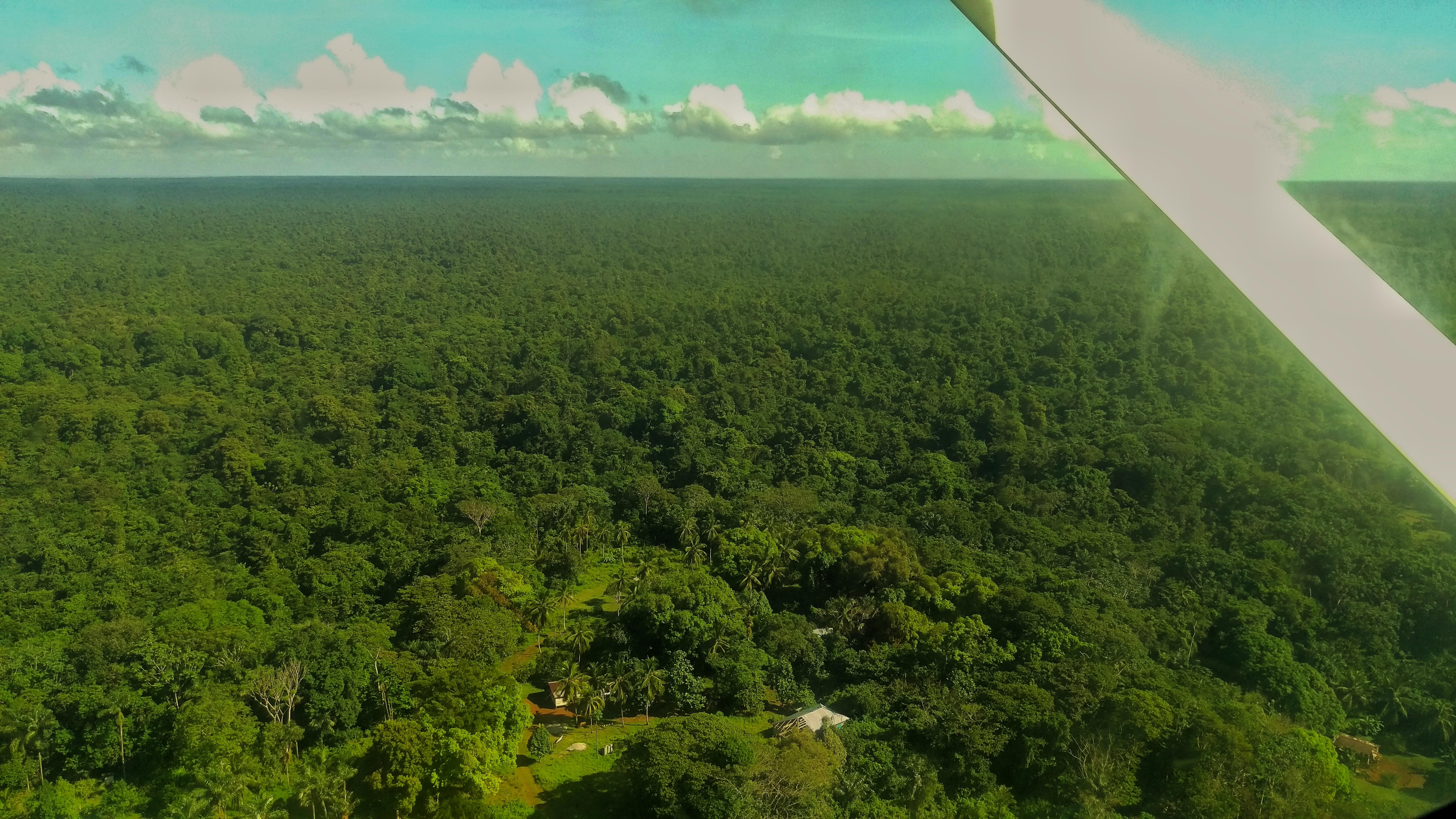 Indigenous communities call for independent land commission amidst alleged ‘threats, harassment’ from gov’t officials