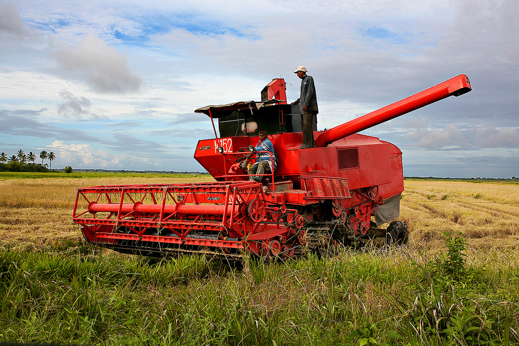 10,000 tonnes of rice sold to Venezuelan buyers; amount to increase- Agri. Minister