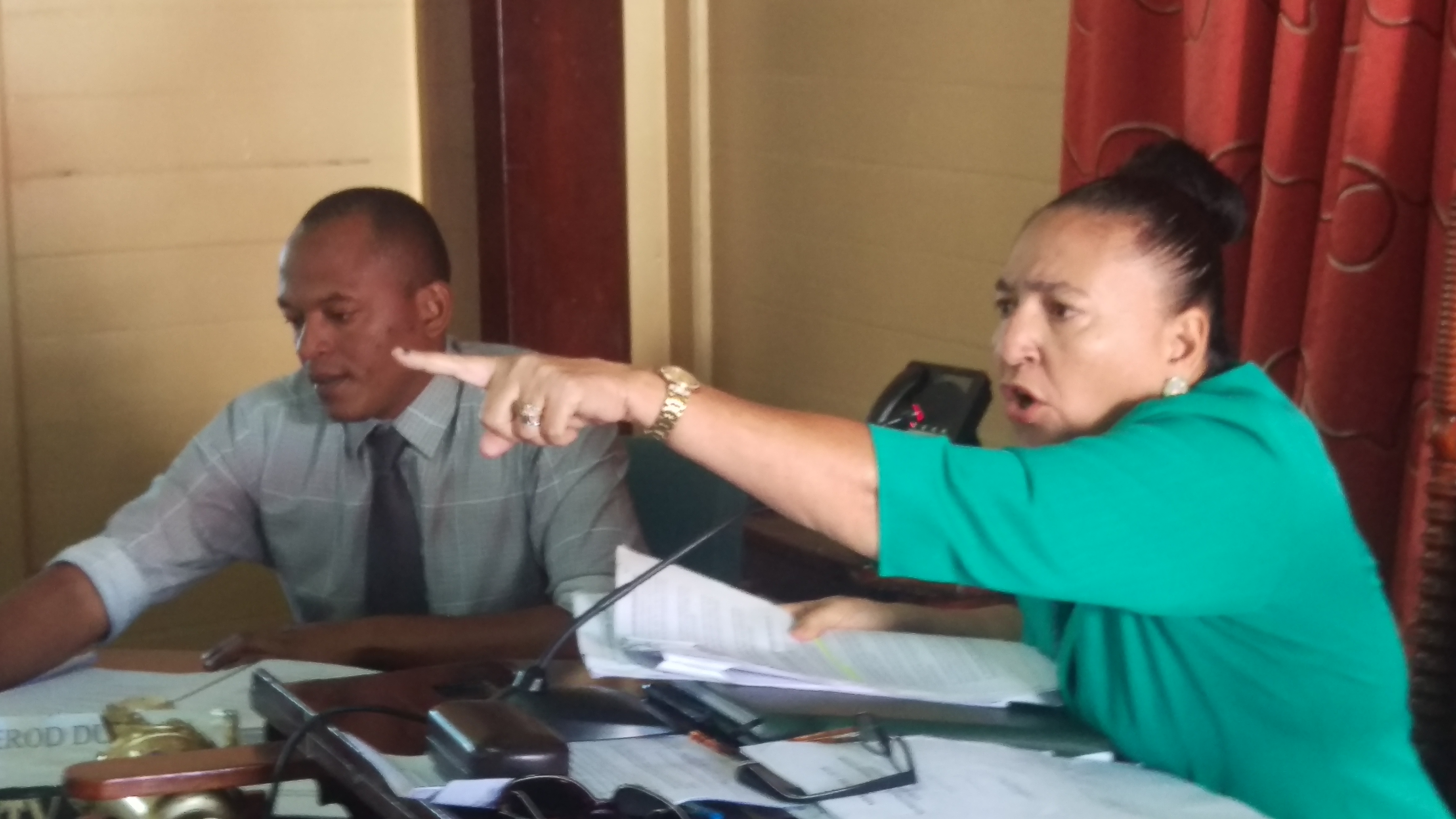 Chase-Green rejects invitation to public meeting organised by Movement Against Parking Meters