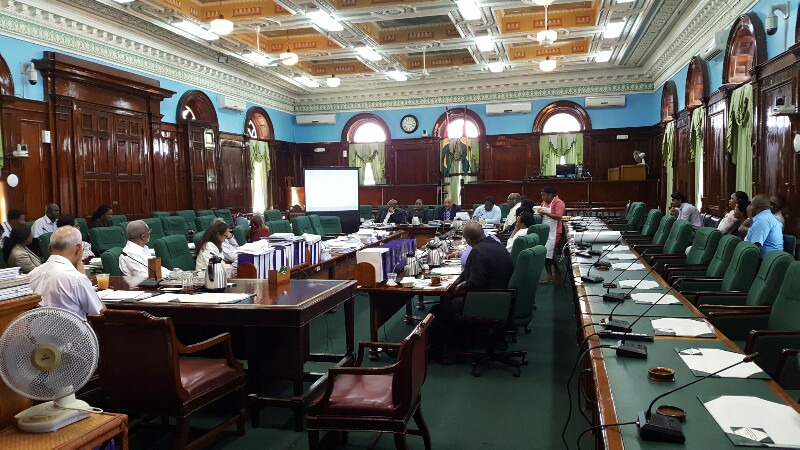 Chinese Bank asks Guyana to hold off re-issuing Bai Shan Lin lands