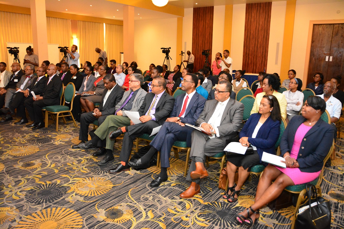 Cabinet Committee finalizing Diaspora Engagement Action Plan—Harmon