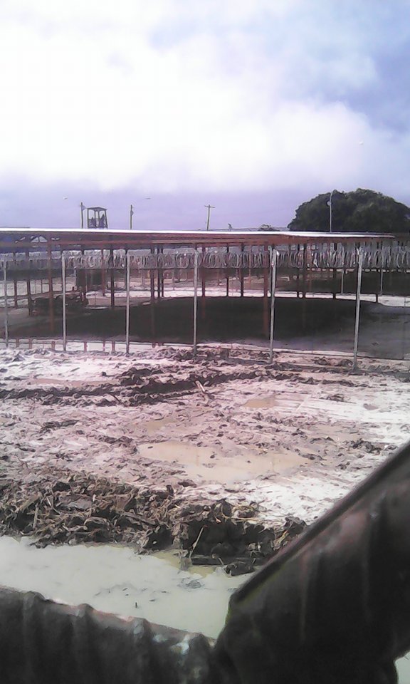 Transfer of Lusignan prisoners to new holding facility underway – Director of Prisons Samuels