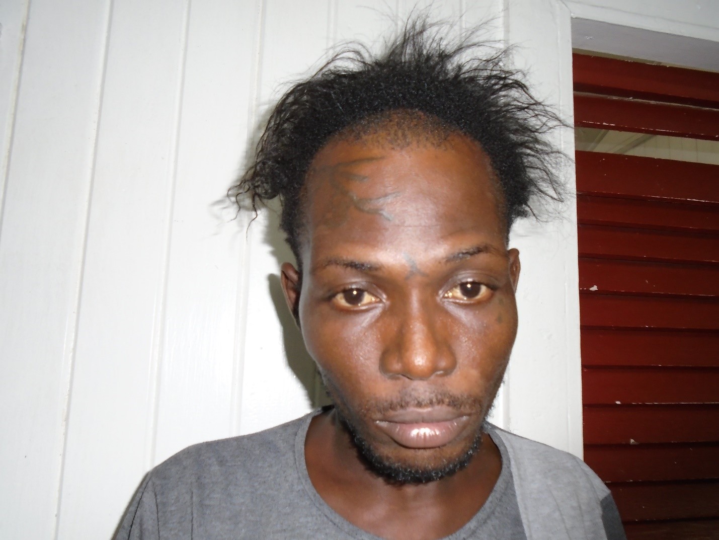 Police release photos of 13 prison escapees