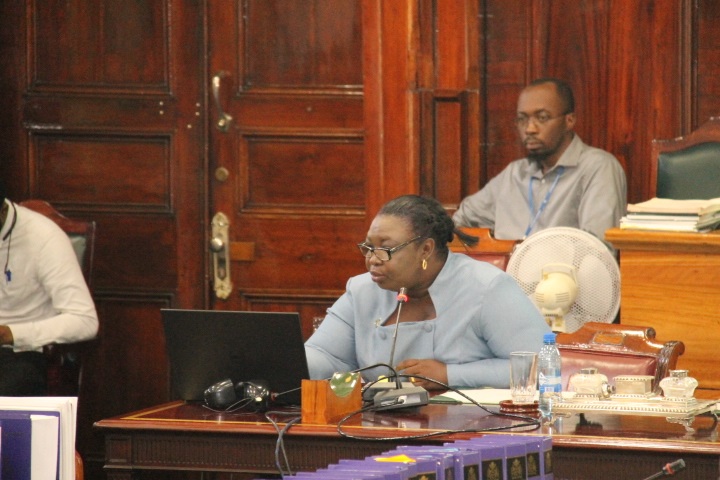 Guyana needs legal reforms, more cash to combat suicide, parliamentarians told