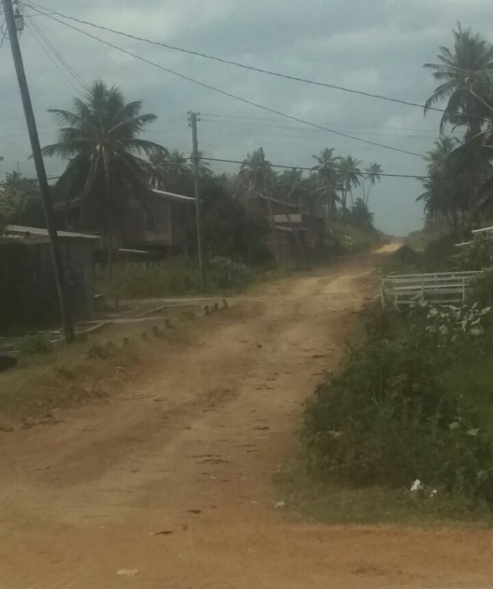 All-weather road project to open more farmlands in Berbice – PM regional rep