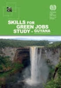ILO launches Skills for Green Jobs Study- Guyana