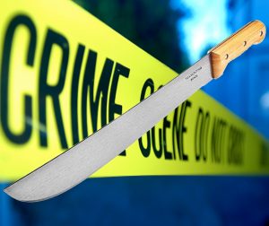 Mother-beater shot after chopping policeman