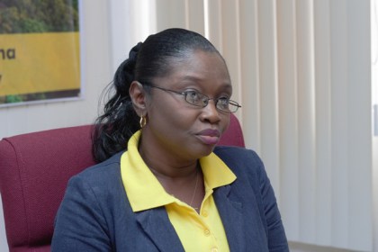 Guyana’s 2017 growth rate slumps further; increased gold declaration expected in 2018