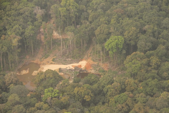 Guyana’s forests will be more important as oil production soars carbon ...