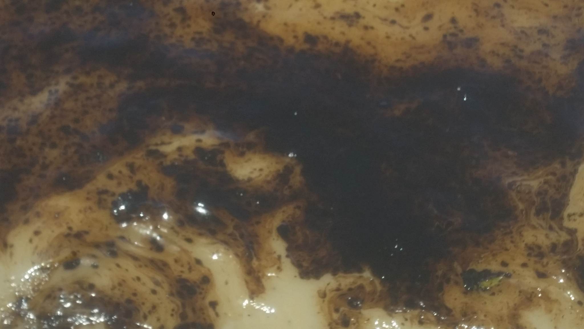 EPA probing thick black substance on Georgetown seashore