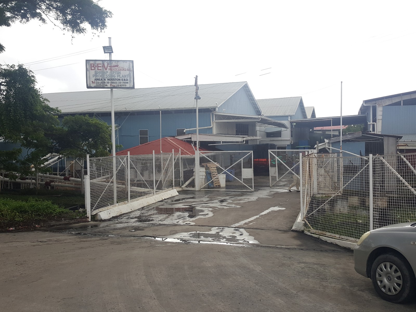 Hundreds of shrimp processing workers to be laid off