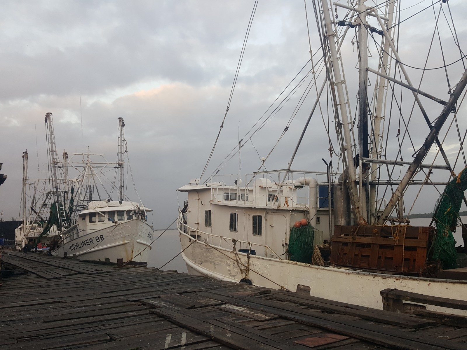 Hundreds of shrimp processing workers to be laid off