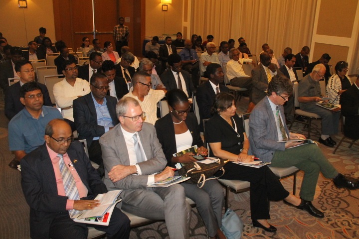 Solar power, small hydroelectricity stations useless for industrialisation; Amaila; other mega hydro-power plants needed to push traditional sectors instead of rely on oil