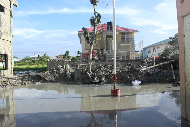 Erupting gas deposit at East Bank Demerara huge; govt asked to decide on exploitation