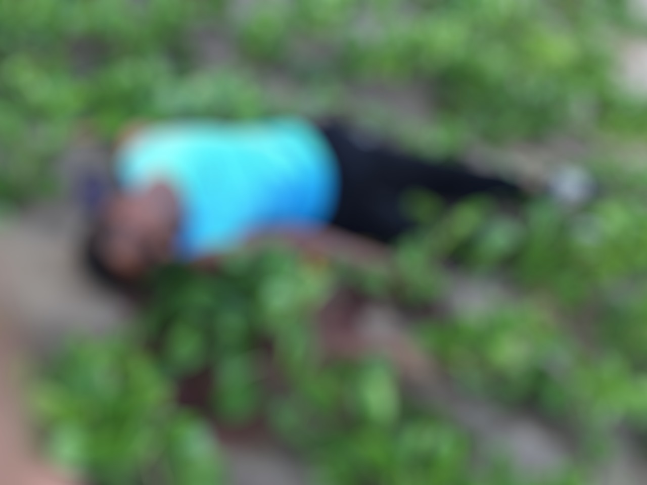 Surinamese rice exporter gunned down in Guyana after huge cocaine-in-rice bust