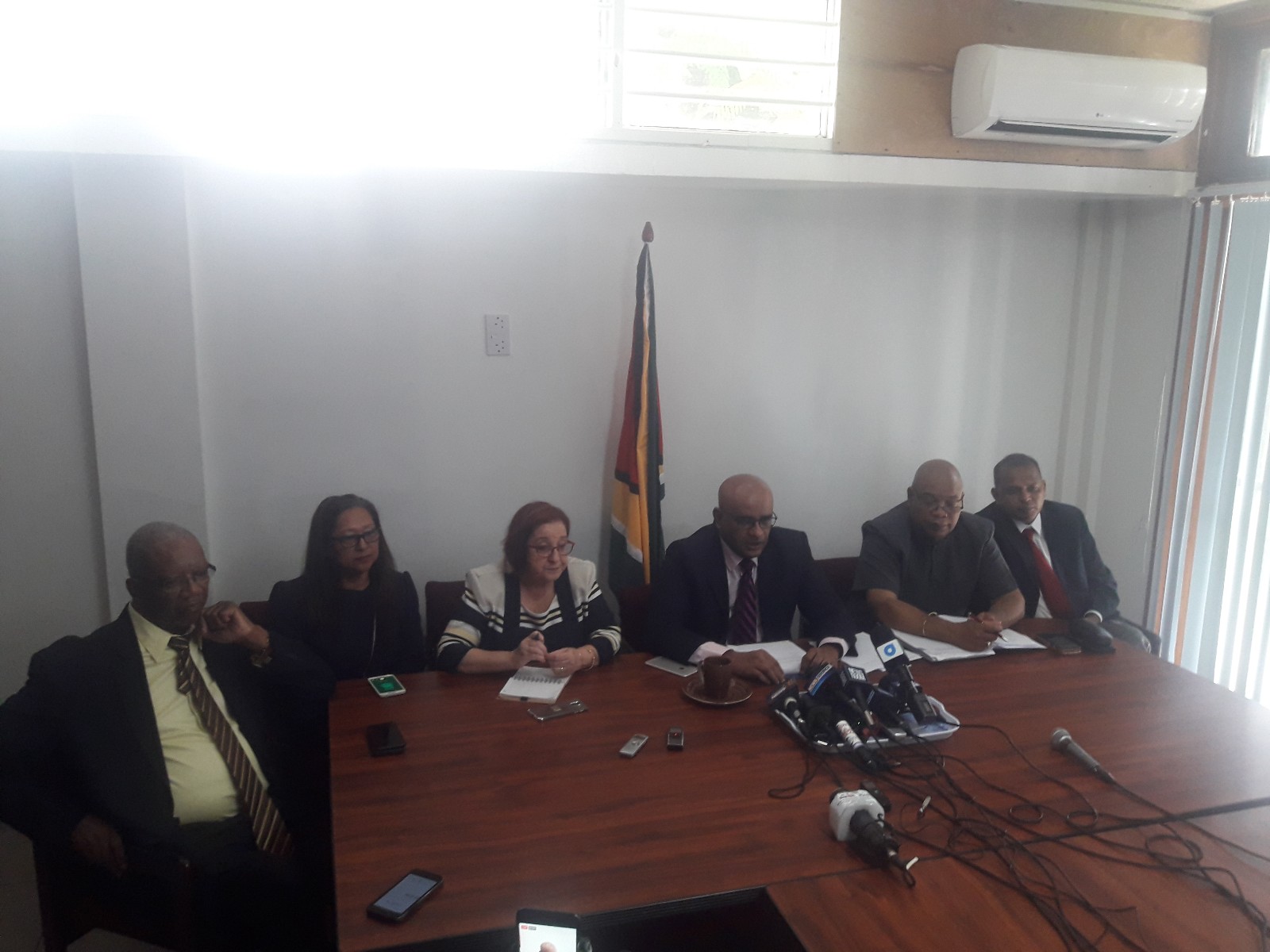 Gail Teixeira, Amna Ally to meet with GECOM on election readiness