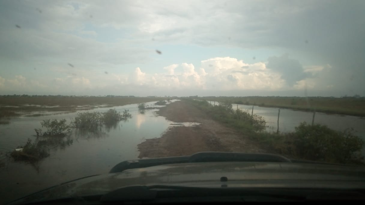 Homes, farms, livestock under high tide floods in Region 5