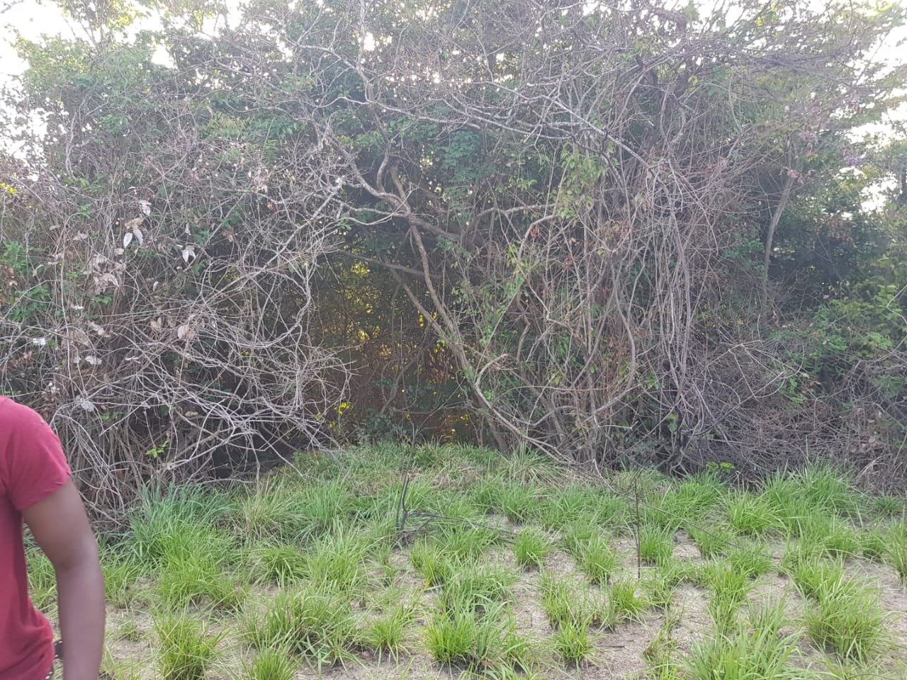 Stabbed, decomposed body of 16-year old Brazilian boy found in Lethem