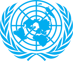 United Nations calls on GECOM to verify elections results