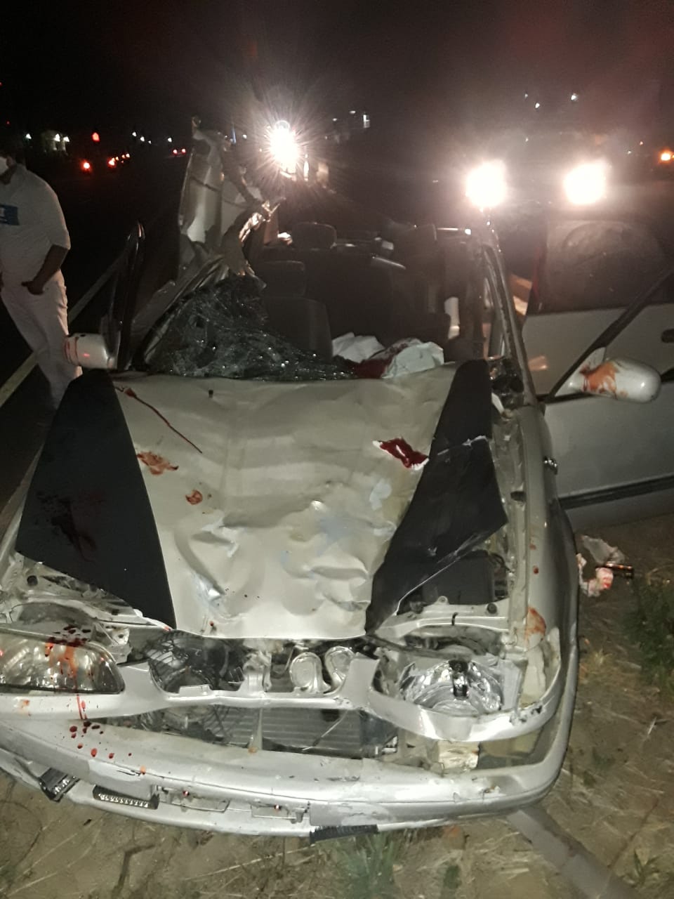 One dead, one injured after car slams into cow