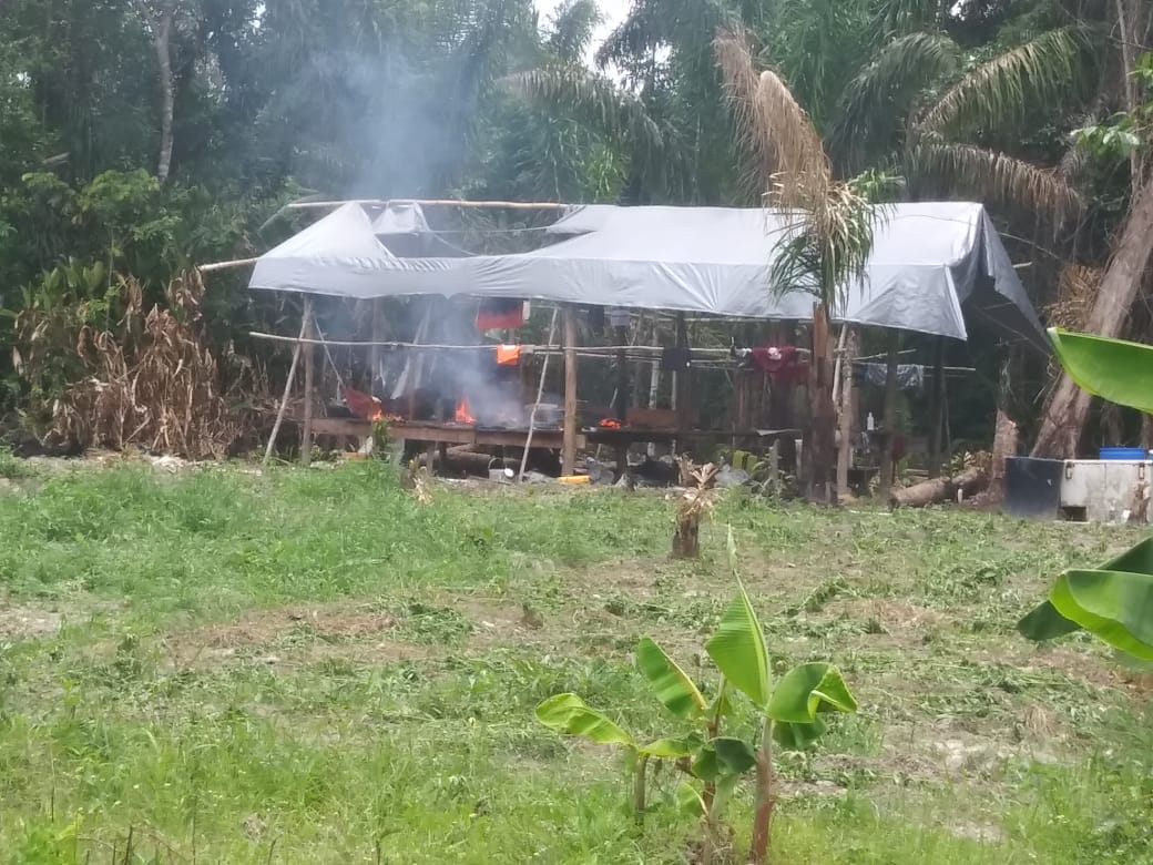 Four arrested, 27 kilos of marijuana seized, cultivation destroyed