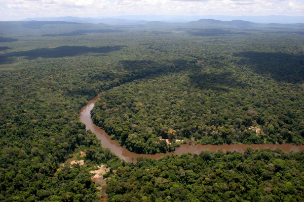 COVID-19: Iwokrama to ban vehicles illegally moving foreigners through rainforest