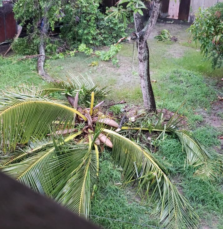 Storm causes damage, power outages; Civil Defence assessing impact