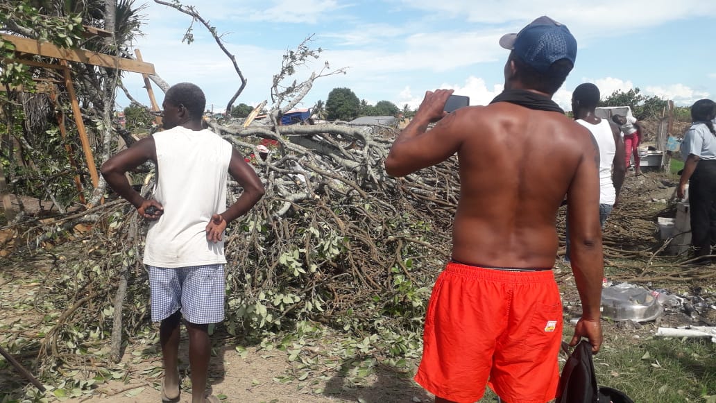 Big tree falls on eight female Success cane field squatters