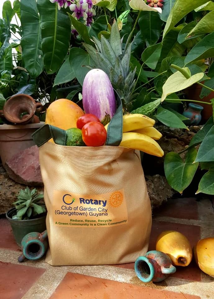 Guyana’s first cause-based Rotary Club formed with focus on environment