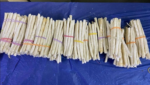 Six held for cocaine sticks-in-fishbones destined for Miami