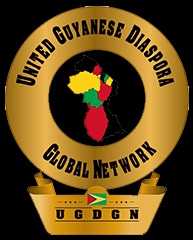 Diaspora stakeholder complains to President about slothfulness, discourtesy on investment webinars