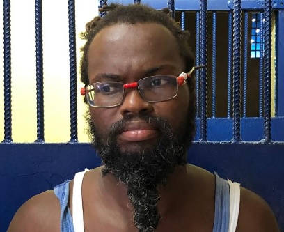 BV resident fined, ordered to do community service for four ganja plants