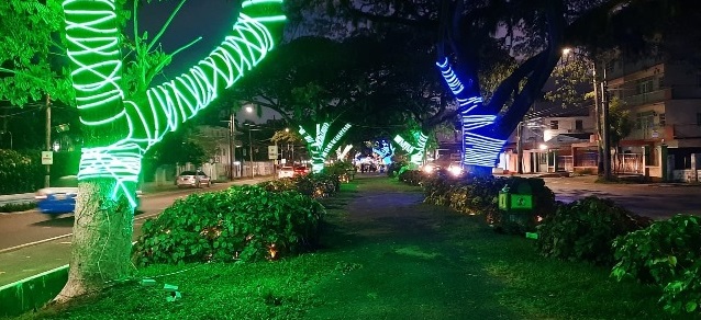 GPL, Chinese community light up Main Street for Christmas