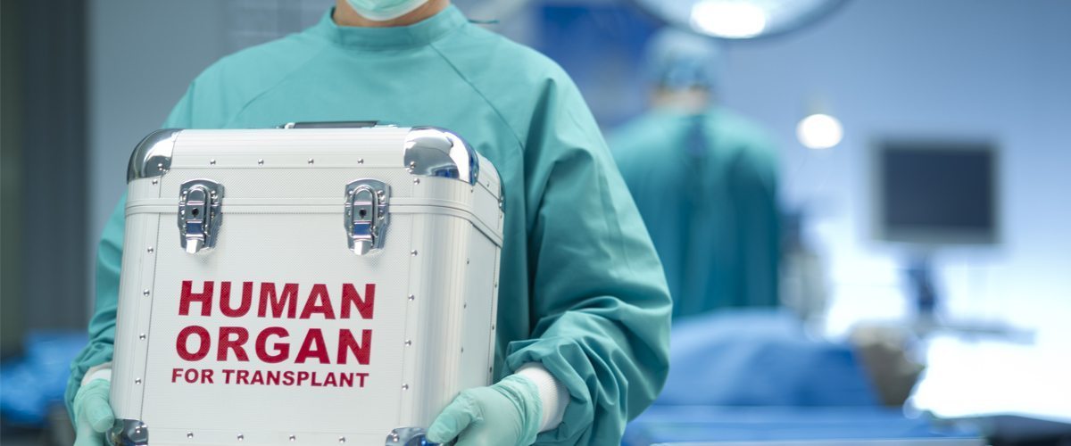 Law now governs human organ and tissue transplantation including blood transfusion