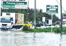 South Ruimveldt drainage problems to be fixed- President Ali