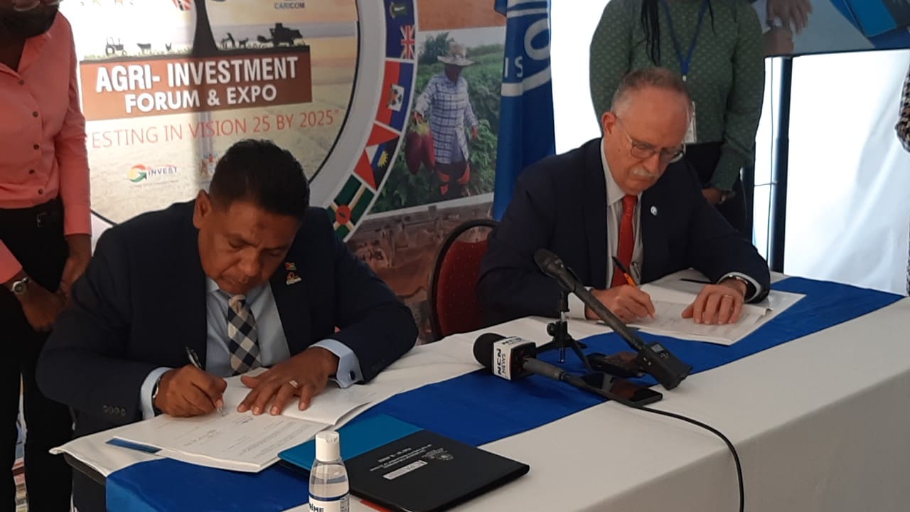 Oil industry not responsible for low fish catch- FAO study