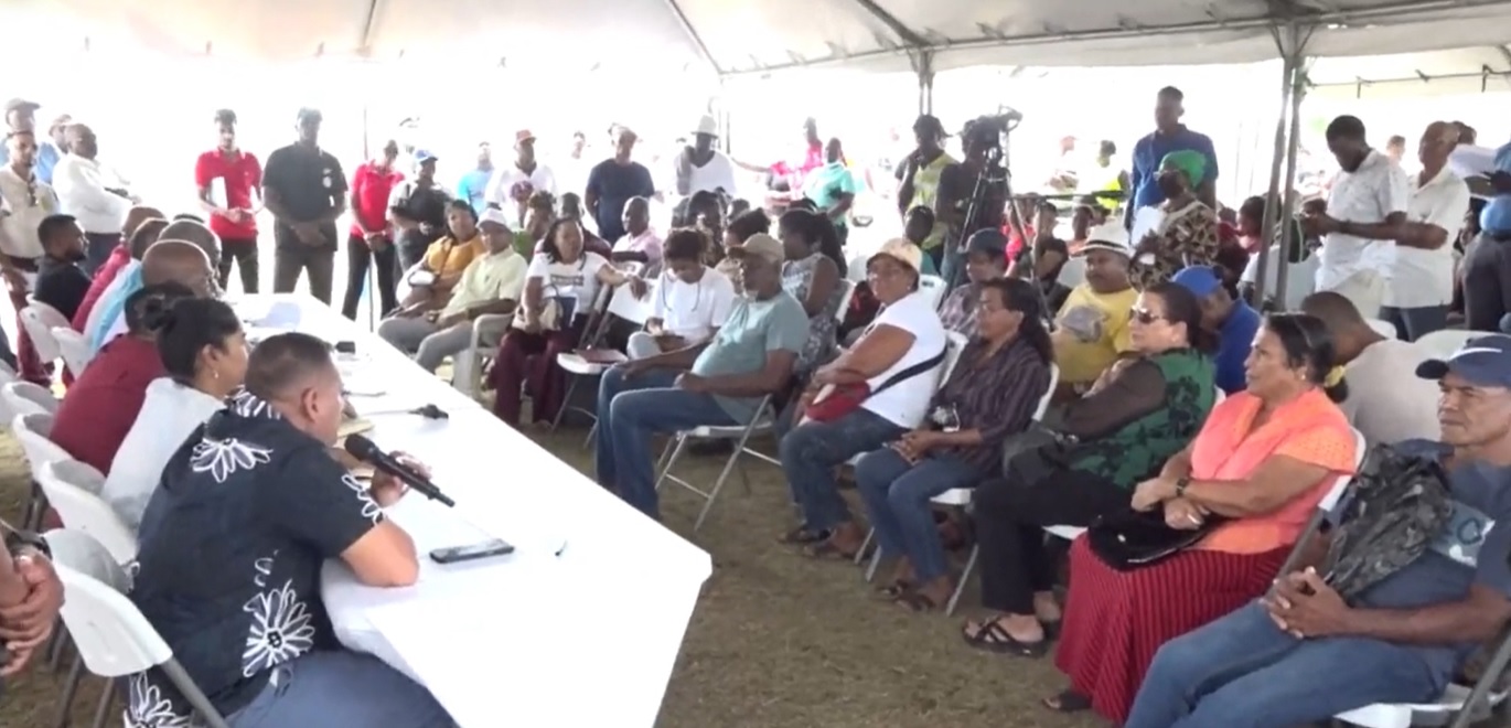 Govt bans use of chemicals to clear drainage system