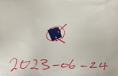 CANU agents arrested in ‘messy’ diamond theft from Surinamese