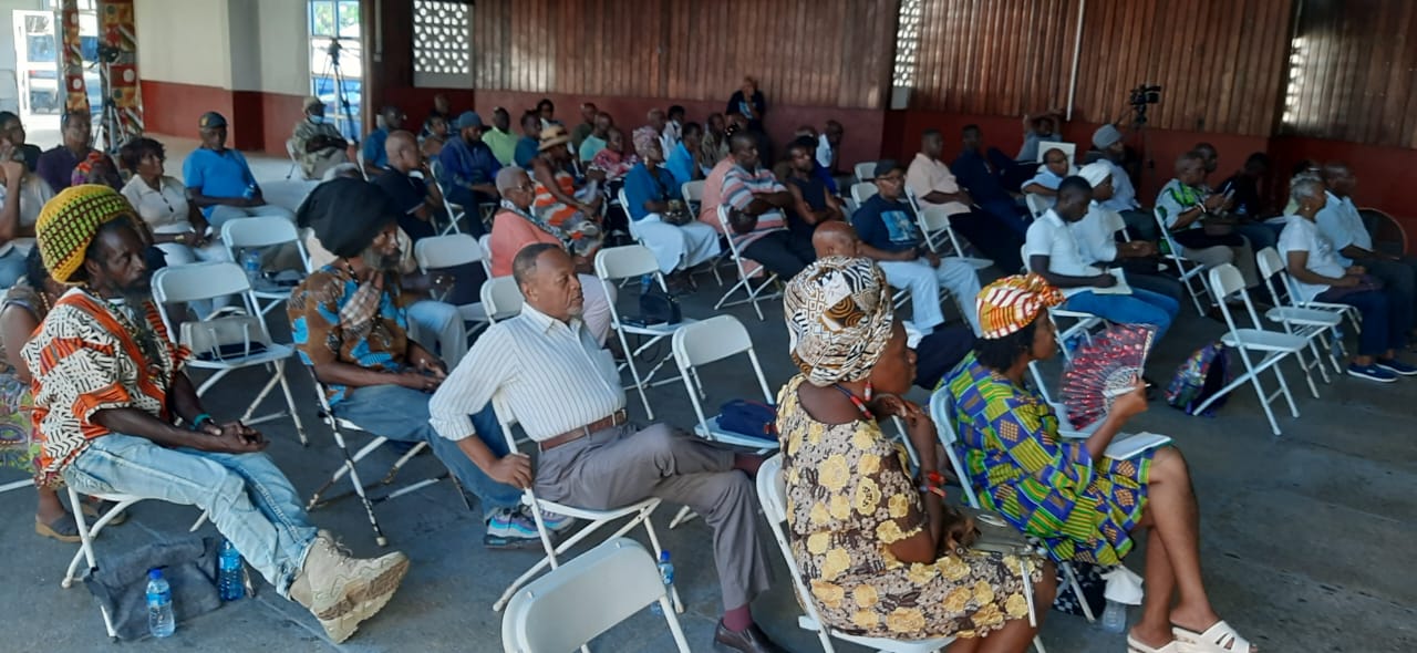 Political decision-making should be done by supermajorities to force consensus- Nigel Hughes