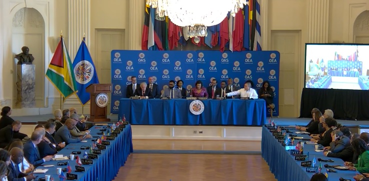 Election observers “indispensable” to protecting democracy- Pres Ali tells OAS