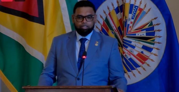 Election observers “indispensable” to protecting democracy- Pres Ali tells OAS