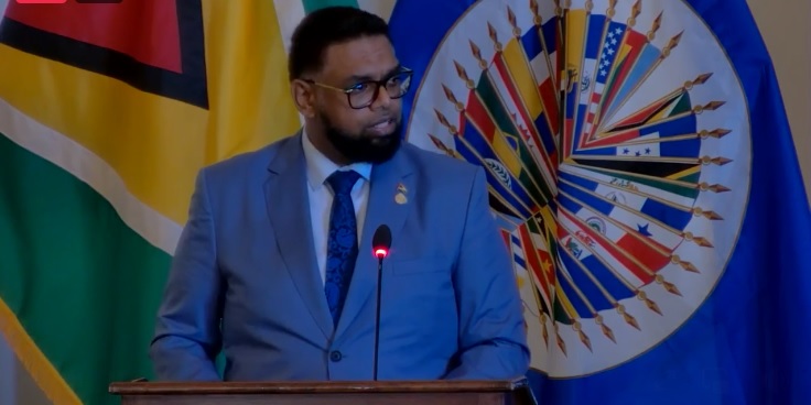 Haiti must fix political impasse before peace restoration, elections- Ali tells OAS