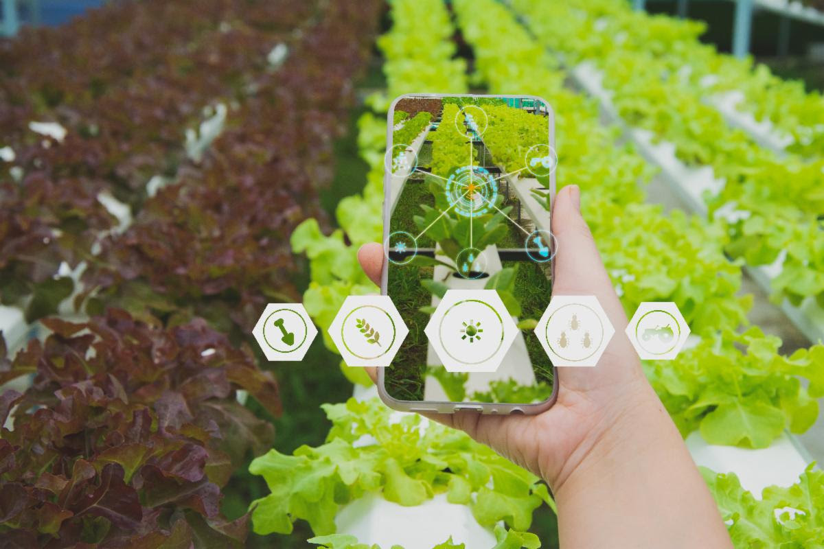 CDB funds food traceability system in Guyana to boost exports