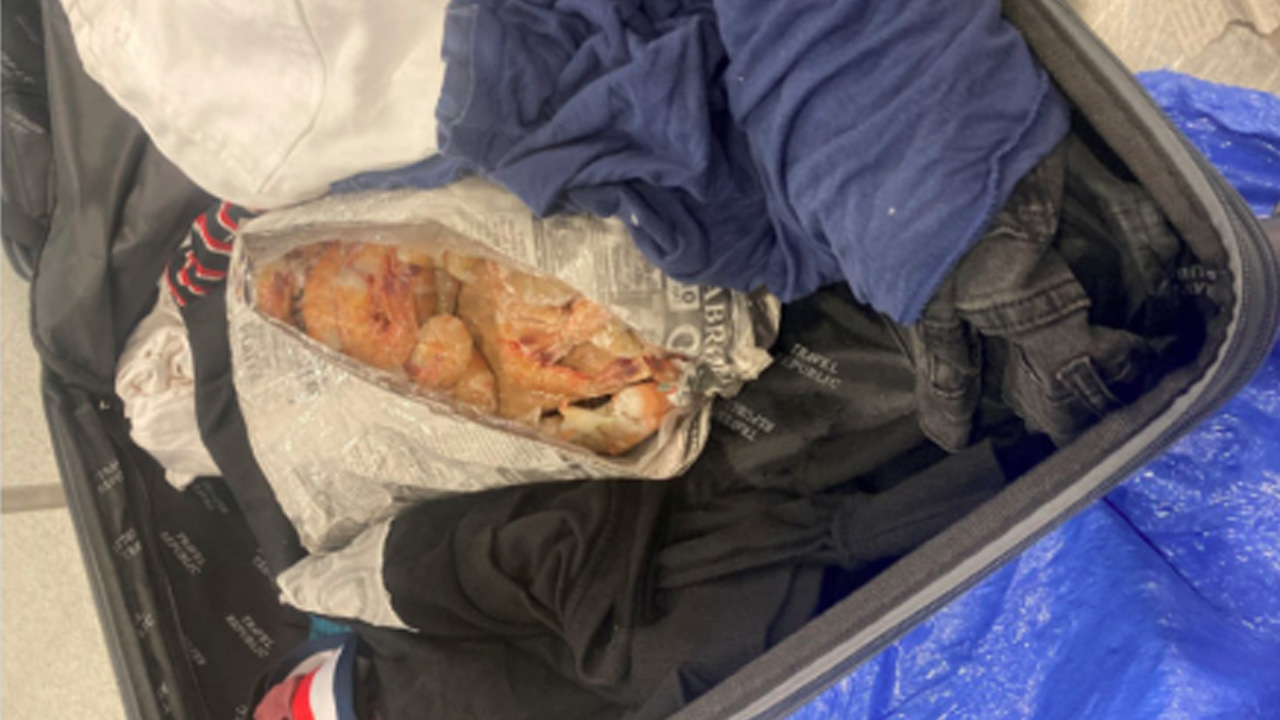 Guyana-based American arrested at JFK Airport for allegedly smuggling cocaine in bags of jumbo shrimp