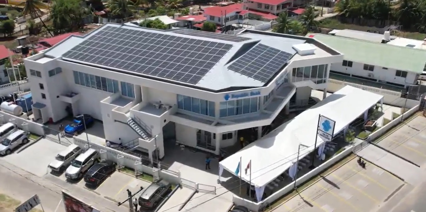 More loans being repaid, borrowings increasingly diversified- Pres Ali