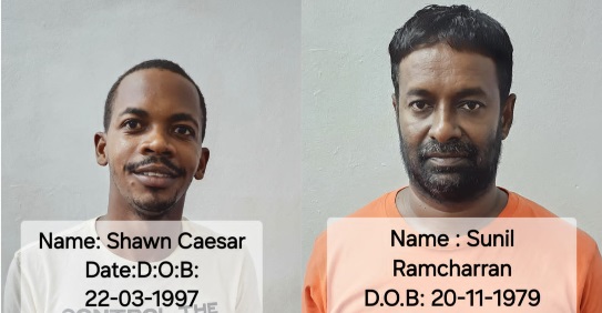 Security guard, businessman charged in connection with theft of school’s solar panels