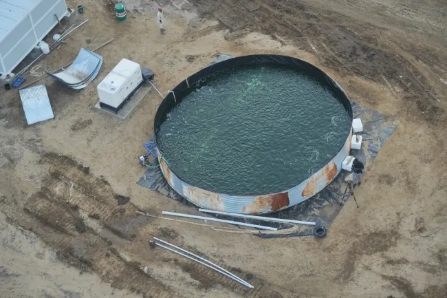 Guyana gearing up to export more prawns