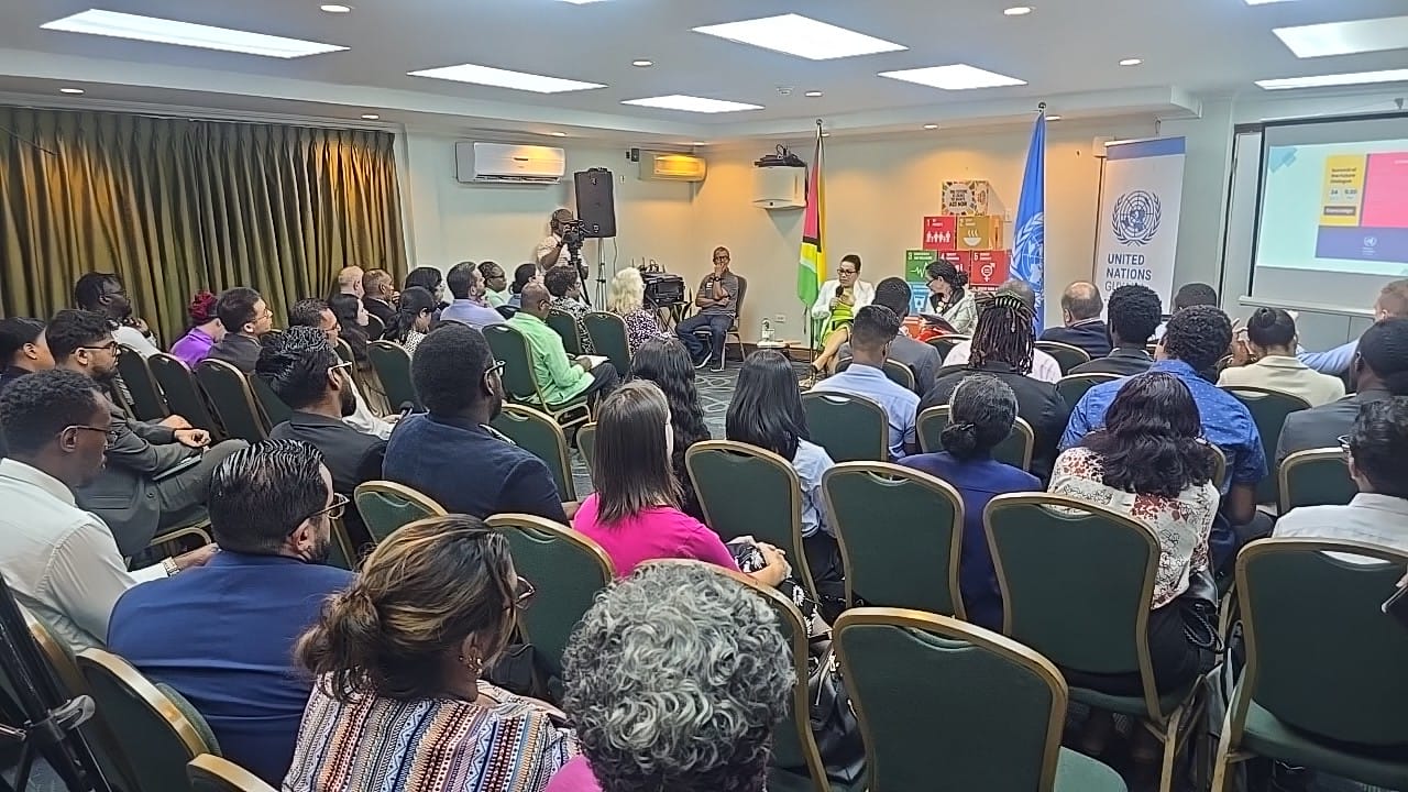 Security Council is “most undemocratic” UN institution -Guyana’s Permanent Rep to UN