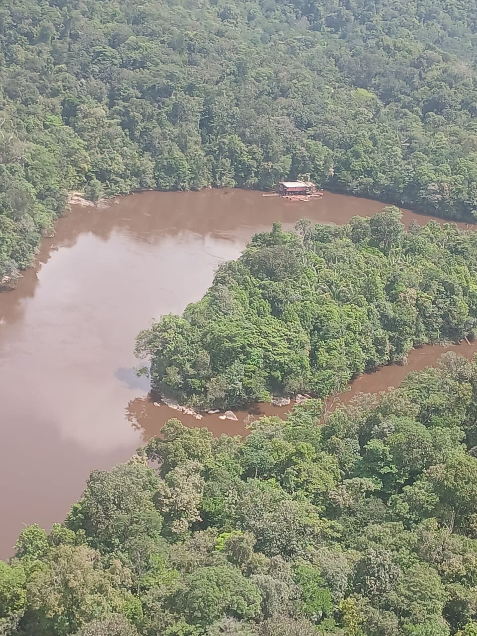 Brazilian illegal miners arrested